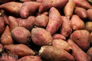 ¡A comer batata! previene cáncer de colon y la diabetes