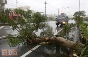 Tifón Goni deja 20 heridos y 300 vuelos cancelados en el Sur de Japón