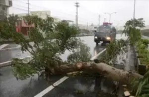 Tifón Goni deja 20 heridos y 300 vuelos cancelados en el Sur de Japón