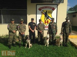 Ejército activa «plan relámpago» por tormenta Danny