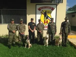 Ejército activa «plan relámpago» por tormenta Danny