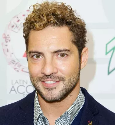 David Bisbal molesto