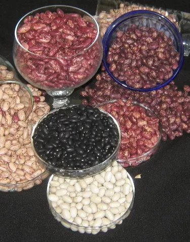 24_Globales_17_2,p01