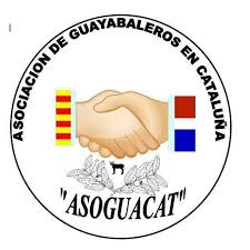 Dominicanos en España solicitan investigación de Junta Municipal de Guayabal 