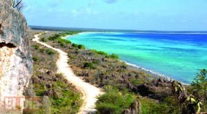 Bahía de  las Águilas,  la última maravilla del Sur profundo