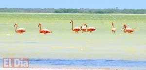 Laguna de Oviedo, lugar por excelencia para observar aves