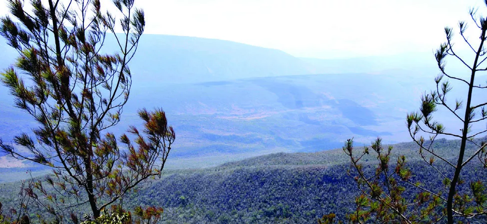 Pedernales es el mayor tesoro de la biodiversidad del Caribe