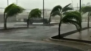 Reportan daños materiales menores por ciclón Patricia, no hubo víctimas