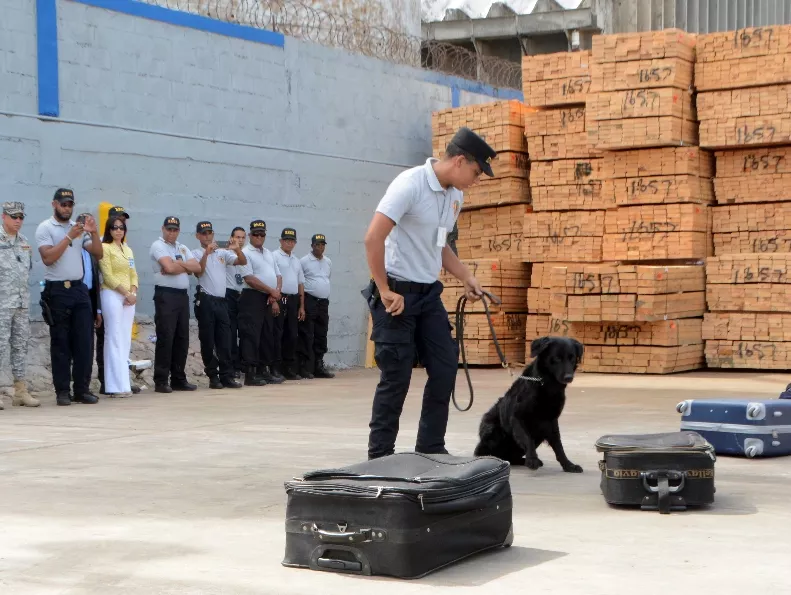 21_Nacionales_21_1,p01