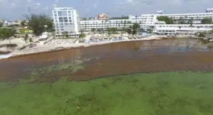 República Dominicana refuerza retiro de algas de las playas