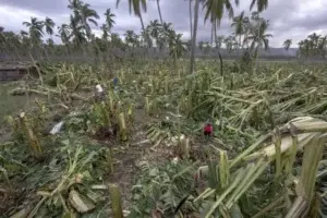 Los 80 kilómetros de desolación de Patricia