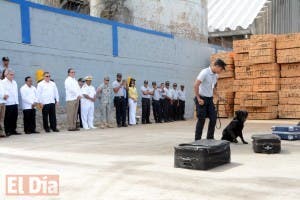 DNCD extiende al puerto de Haina servicios de caninos adiestrados en detección de drogas