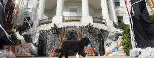 La Casa Blanca se disfraza de bosque encantado para celebrar Halloween