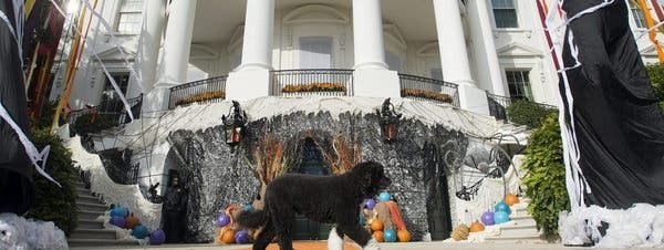 La Casa Blanca se disfraza de bosque encantado para celebrar Halloween