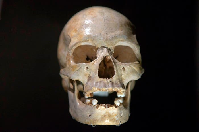 Homo sapiens salió de África antes de lo que se pensaba