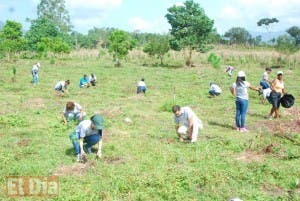 Be Center y Medio Ambiente reforestan en la Loma de Blanco