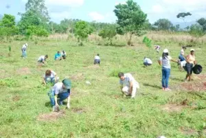 Be Center y Medio Ambiente reforestan en la Loma de Blanco