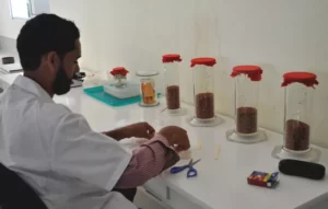 El nuevo Bioterio además de las investigaciones que lleva a cabo, proyecta producir avispitas para controlar el gusano de flota de la yuca,