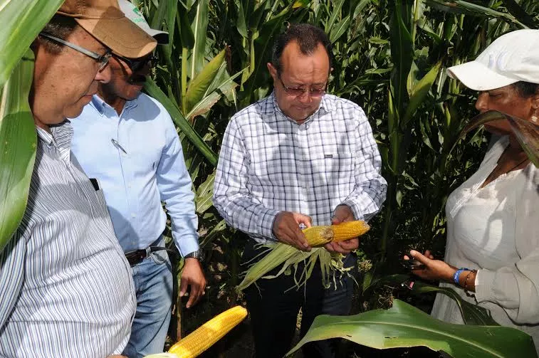 Agricultura inicia trabajos para la transformación de San Juan