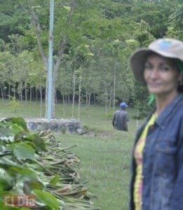 Técnicos cubanos  instruyen uso de lilas