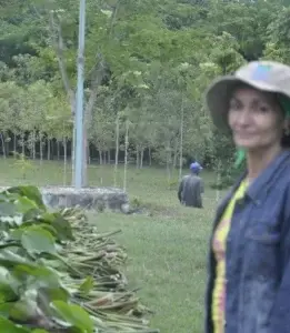 Técnicos cubanos  instruyen uso de lilas