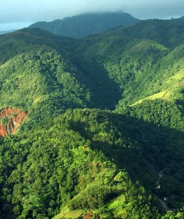 Ambiente prevé mil millones de cuencas