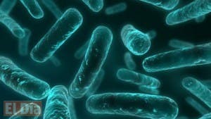 Descubren en China bacteria capaz de resistir a uno de los antibióticos más poderosos