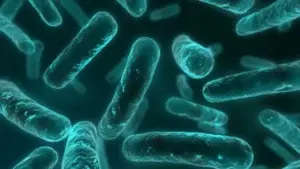 Descubren en China bacteria capaz de resistir a uno de los antibióticos más poderosos