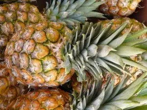 Beneficios de consumir piña: diurética y desintoxicante