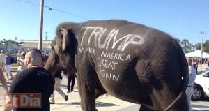 Campaña de Donald Trump llega con elefante a evento en Florida