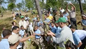 Medio Ambiente afirma que supera meta siembra de árboles para el “Mes de la Reforestación»