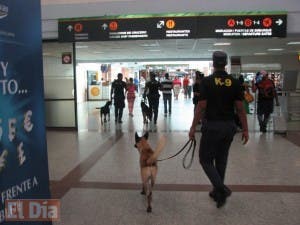 Perro de la DNCD muerde azafata en el Aeropuerto de Las Américas