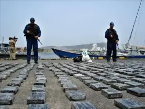 Incautan 2,5 toneladas de cocaína en tres operaciones policiales en Colombia