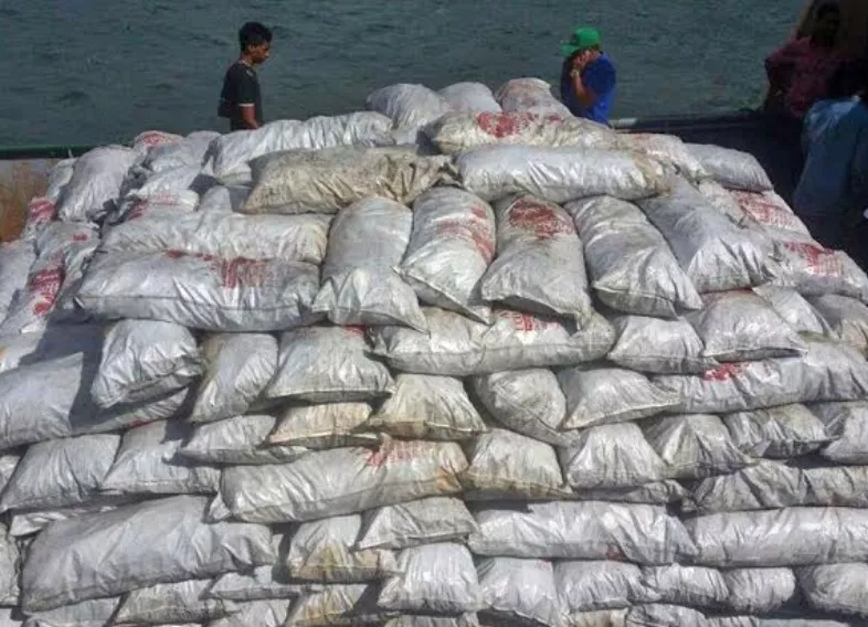 Medio Ambiente confisca cargamento de carbón en un barco en Samaná