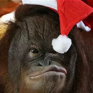 En Brunéi se prohibió el uso público de gorros de Papá Noel.