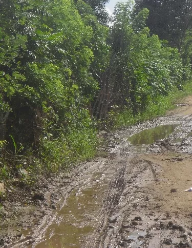 Medio Ambiente niega permiso al Instituto Agrario