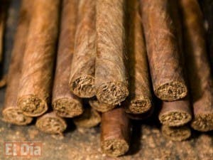 Productores apoyan tabaco sea declarado como patrimonio cultural dominicano