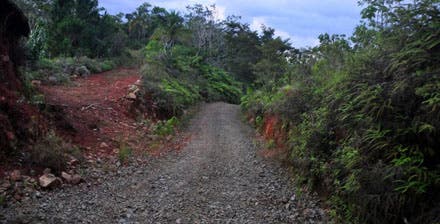 Fundación Loma Quita Espuela dice construcción carretera Río San Juan, no impacta a la Reserva Científica