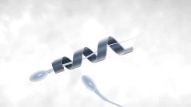 Spermbot: el dispositivo que da un empujón a los espermatozoides lentos