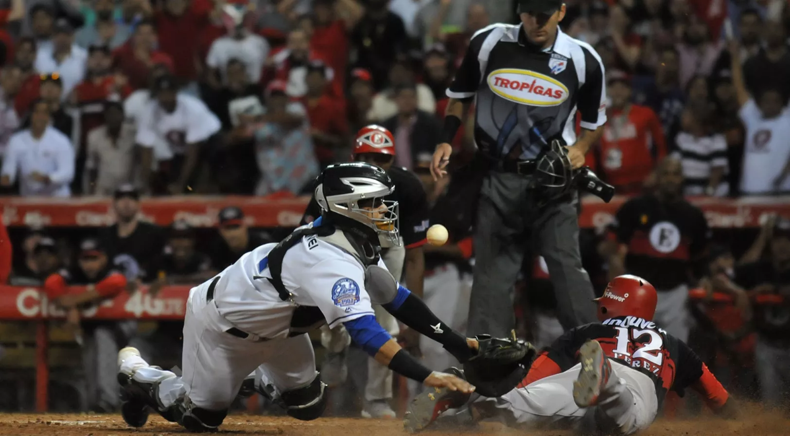 Leones buscan hoy sepultar a los Tigres