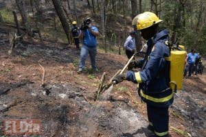 Medio Ambiente incorpora más brigadas al plan de prevención contra incendios forestales