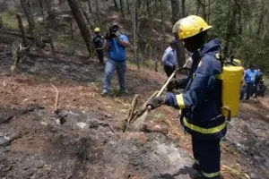 Medio Ambiente incorpora más brigadas al plan de prevención contra incendios forestales