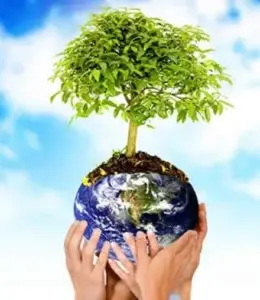 Hoy es Día Mundial de la Educación Ambiental