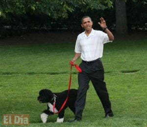 Detienen a un hombre por tratar de secuestrar al perro de Obama