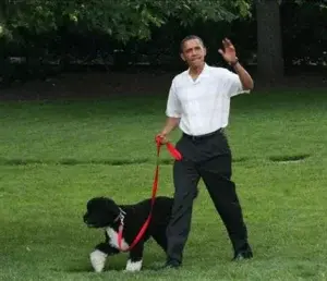 Detienen a un hombre por tratar de secuestrar al perro de Obama