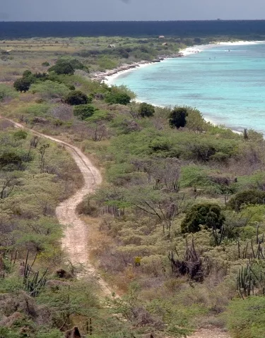 Juez confirma fallo que anula títulos de propiedad Bahía de las Águilas