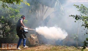 En San Felipe, Los Arqueanos y La 28 en Villa Mella piden a autoridades intensificar fumigación