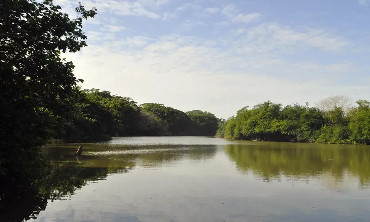 Humedales, sustento vida de la humanidad