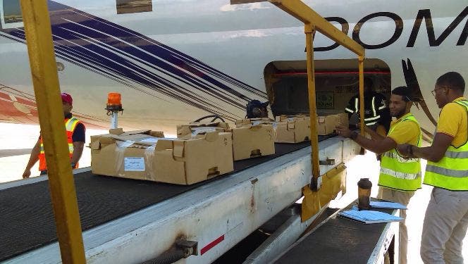 Pawa Dominicana respalda exportaciones locales con nuevo servicio de carga