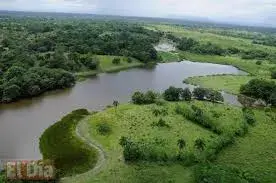 Hoy es Día Mundial de los Humedales